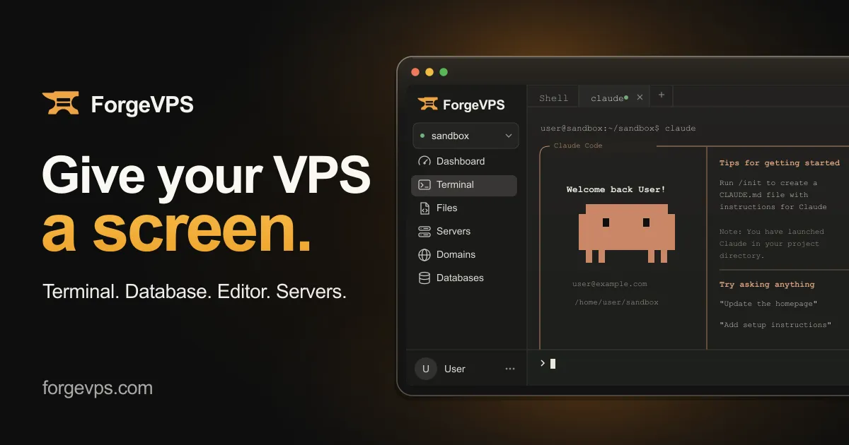 The landing page of forgevps.com